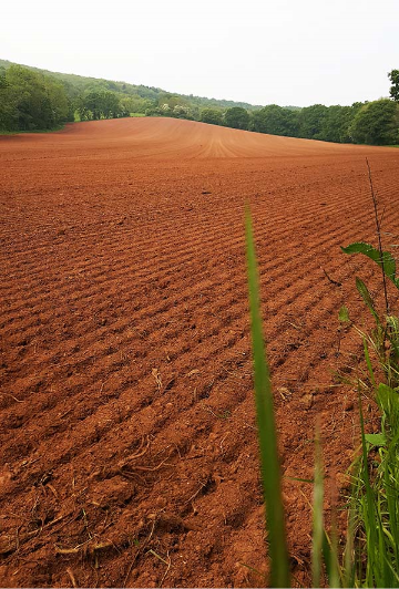 Day 3, Monmouth to Pandy