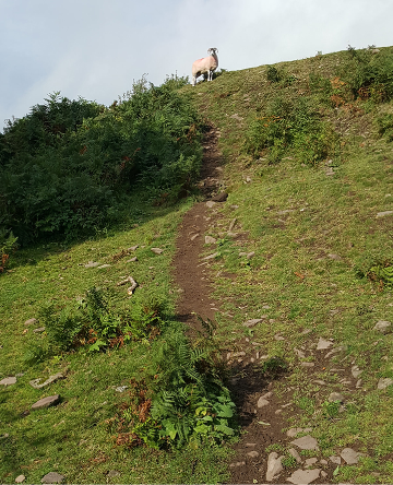 Day 4, Pandy to Hay-on-Wye