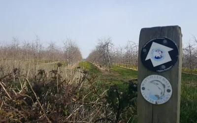 Day 4 – Hereford to Bredwardine